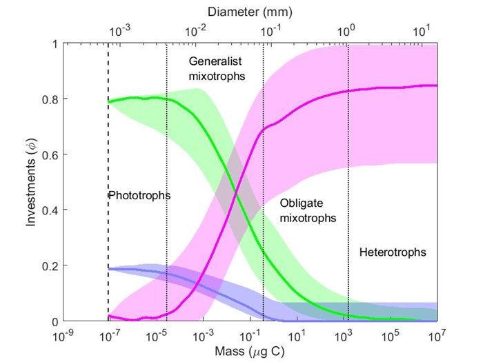 Illustration: Phototrophs, Generalist mixotrophs, Obligate mixotrophs, Heterotrophs