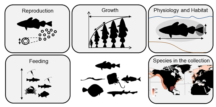 Illustrations of reproduction, growth, physiology and habitat, feeding, and species in the collection